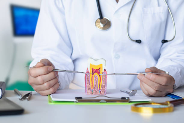 Best Weekend Emergency Dentist in Diboll, TX